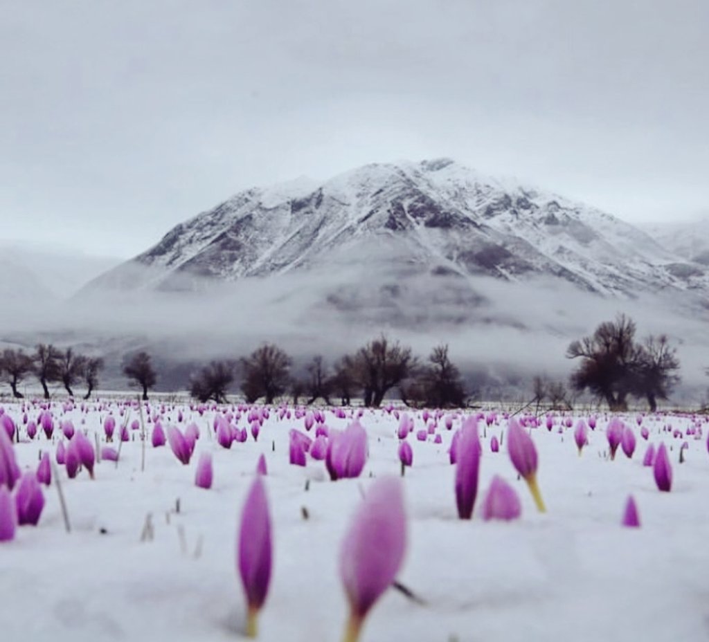 Gittiğiniz yerin doğasını, iklimini, börtü - böceğini, ağacını - çiçeģini tanımanız için bile rehbere ihtiyaç var. Çünkü bu detay gezginin aklına bile gelmez yola çıkarken. 
#TurRehberleGüzel <a href="/RTErdogan/">Recep Tayyip Erdoğan</a>
<a href="/TBMMresmi/">TBMM</a> <a href="/TCKulturTurizm/">T.C. Kültür ve Turizm Bakanlığı</a> <a href="/MehmetNuriErsoy/">Mehmet Nuri Ersoy</a> <a href="/HuseyinYayman/">Hüseyin Yayman🇹🇷</a> <a href="/fahrettinaltun/">Fahrettin Altun</a>