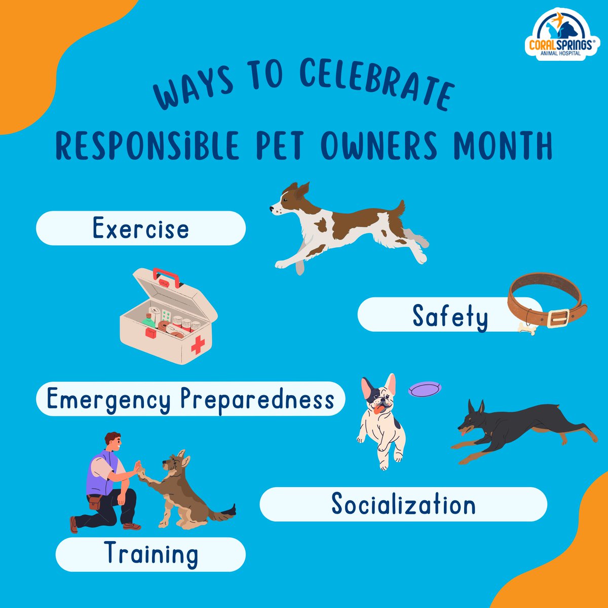CSAnimalHosp's tweet image. 🐾 Celebrate Responsible Pet Owners Month the right way! From exercising to fun playtime, let&apos;s honor our commitment to our furry friends. Share your favorite responsible pet owner moments below! 🐕❤️🐾 #ResponsiblePetOwners