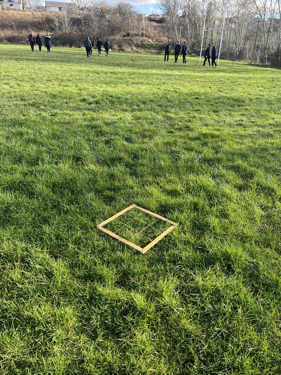 Ms Diamond tweet media