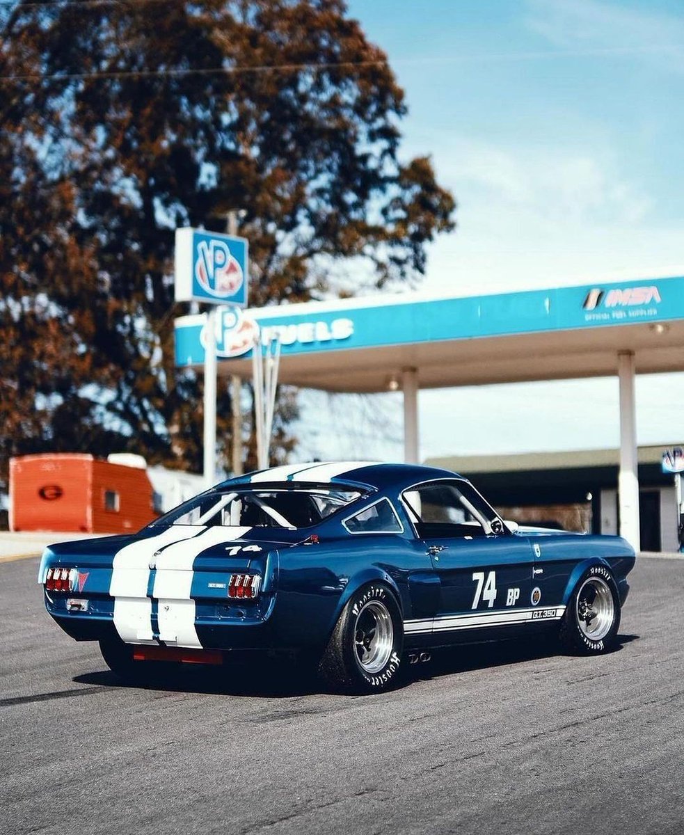 Shelby GT350 💙
