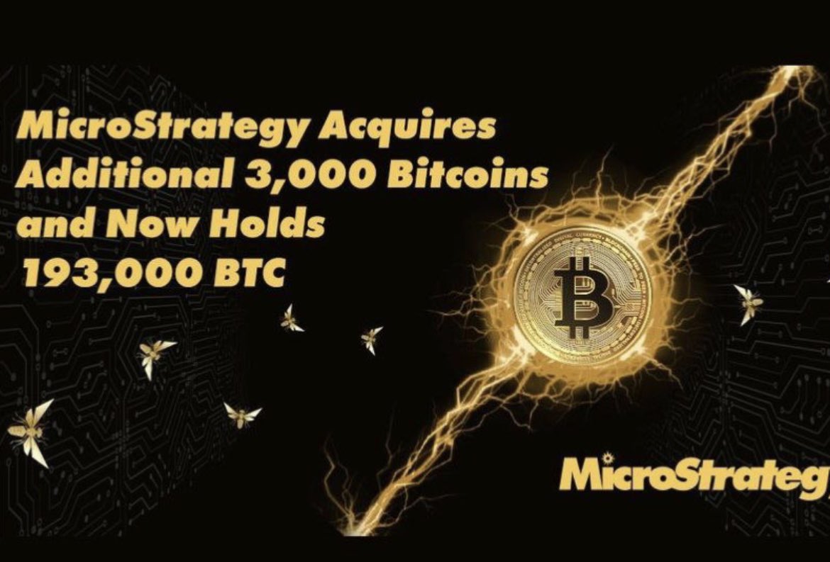 crypt0zaure's tweet photo. Pump https://t.co/oSYQhzgvVq