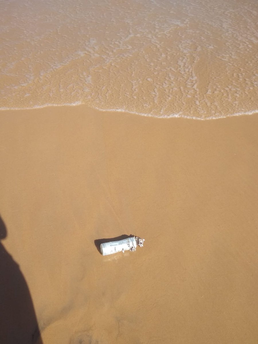 elnevoeiro's tweet photo. Sabendo então que isso possivelmente veio do outro lado do mundo, decidi devolvê-la ao mar

Seria muito triste se a viagem dessa garrafa terminasse aqui, sendo que o plástico na natureza pode durar uns 200 anos e essa garrafa deve ter apenas uns 3 ou 5 https://t.co/JdCL7ZxhIG