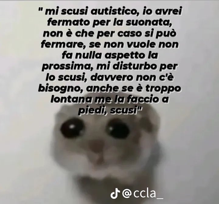 lisaaaficco's tweet photo. MI SCUSI AUTISTICO ODDIO STO PIANGENDO https://t.co/JsnElmxFJA