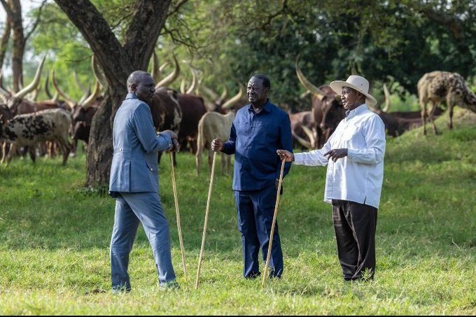 Manager_Adow's tweet image. Selfless leader William is master  of the game.

Alafu yeye ndio chairman ya hio election