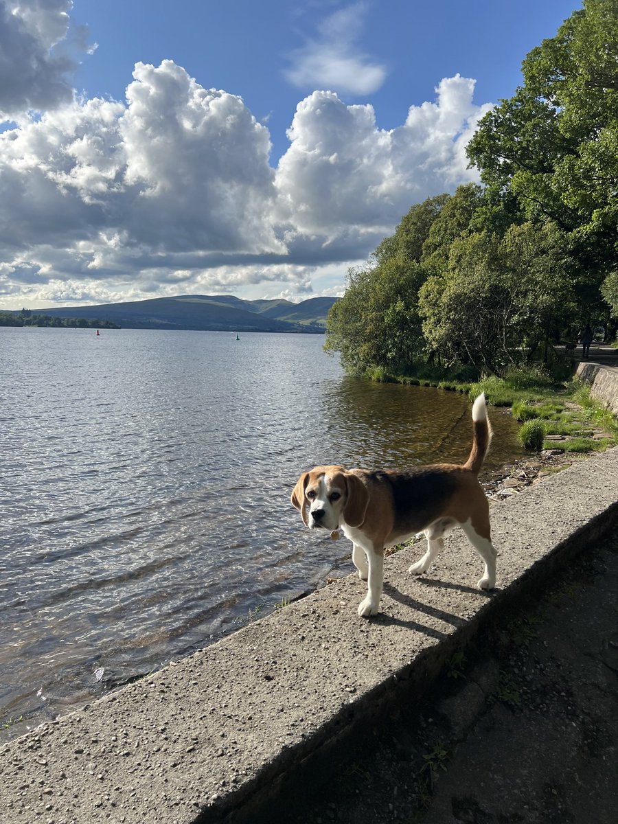 Hello! I turned six a couple of weeks ago :)