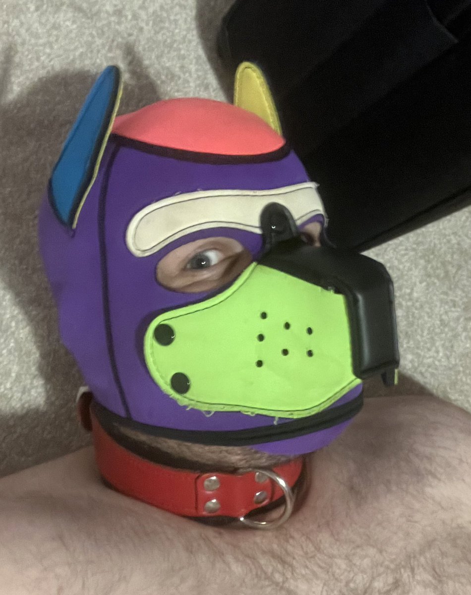 After a rough couple of weeks, I cannot wait to get on the Eurostar towards <a href="/DarklandsFest/">Beyond Darklands Festival Antwerp 🇧🇪🔞</a> 

Forget packing, I’m making a list of all the cute boys and bears that need kissing.

Picture, showing the “cutie detected” side eye when I see you in the darkroom