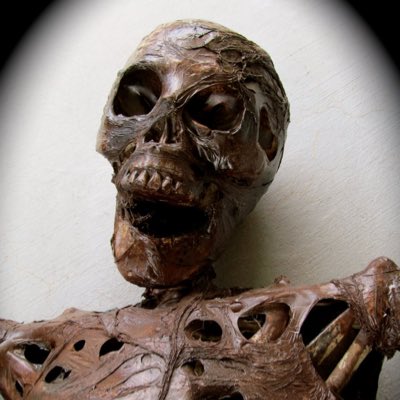 CocksBee's tweet photo. #NewProfilePic https://t.co/ZLjetkUMWS