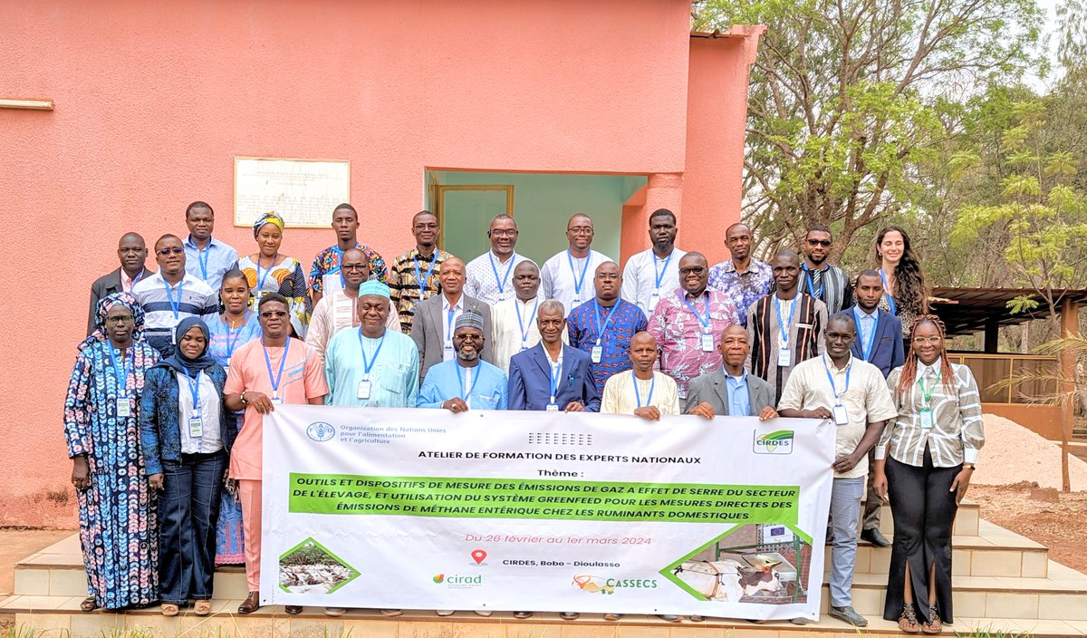 CIRDES (@cirdes_bf) on Twitter photo Démarrage ce 26 février 2024 au <a href="/CIRDES_BF/">CIRDES</a>, 5jours de formation pour des experts d’Afrique de l’Ouest & du Centre sur les mesures des émissions de #GES du secteur de l’élevage. Measuring #ghg emissions from Ruminants for a sustainable #livestock sector development
<a href="/FAOWestAfrica/">FAO West Africa</a> Démarrage ce 26 février 2024 au <a href="/CIRDES_BF/">CIRDES</a>, 5jours de formation pour des experts d’Afrique de l’Ouest & du Centre sur les mesures des émissions de #GES du secteur de l’élevage. Measuring #ghg emissions from Ruminants for a sustainable #livestock sector development
<a href="/FAOWestAfrica/">FAO West Africa</a>