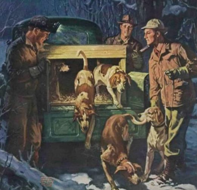 Outdoors Pulse tweet media