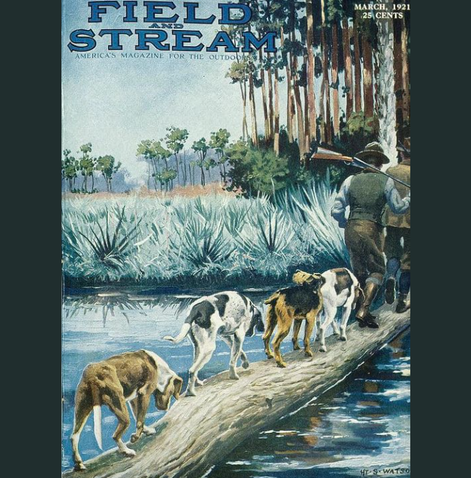 Outdoors Pulse tweet media