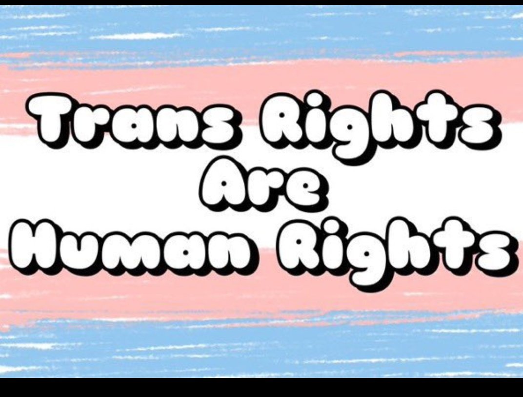 フタナリスト(っ'🍉')╮ =͟͟͞͞ 🥚 tweet media