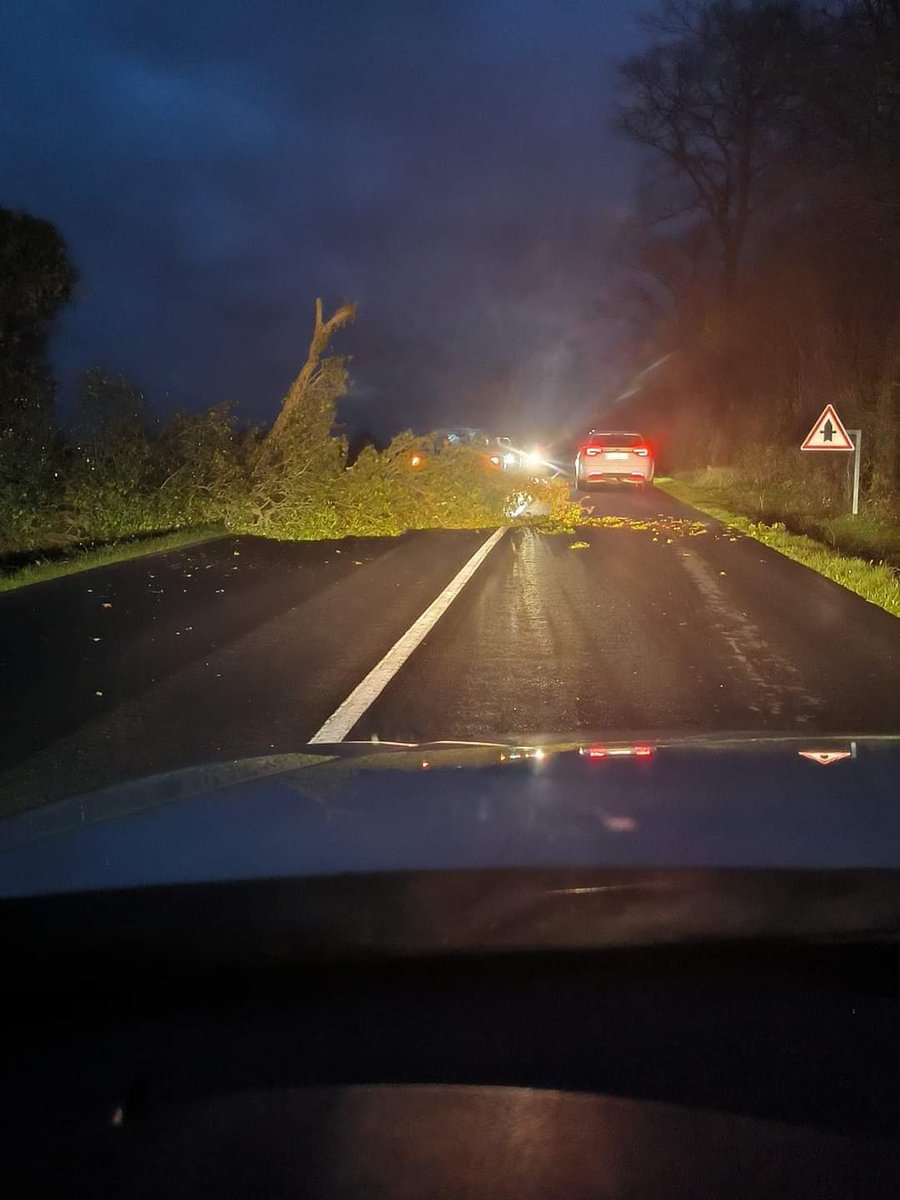 🌬️🌳 Les fortes bourrasques de nord (jusqu'à 80 km/h dans les terres) ont provoqué des chutes de branchages ce lundi soir sur certaines routes de #Vendée comme ici près de Bellevigny.
<a href="/lavendeeinfo/">La Vendée Info</a> <a href="/GWoznica/">Guillaume Woznica</a> <a href="/Meteovilles/">Guillaume Séchet</a> <a href="/meteofrance/">Météo-France</a> <a href="/lachainemeteo/">La Chaîne Météo</a> <a href="/Marc_Hay_Meteo/">Marc Hay</a> <a href="/MeteoExpress/">Météo Express</a>