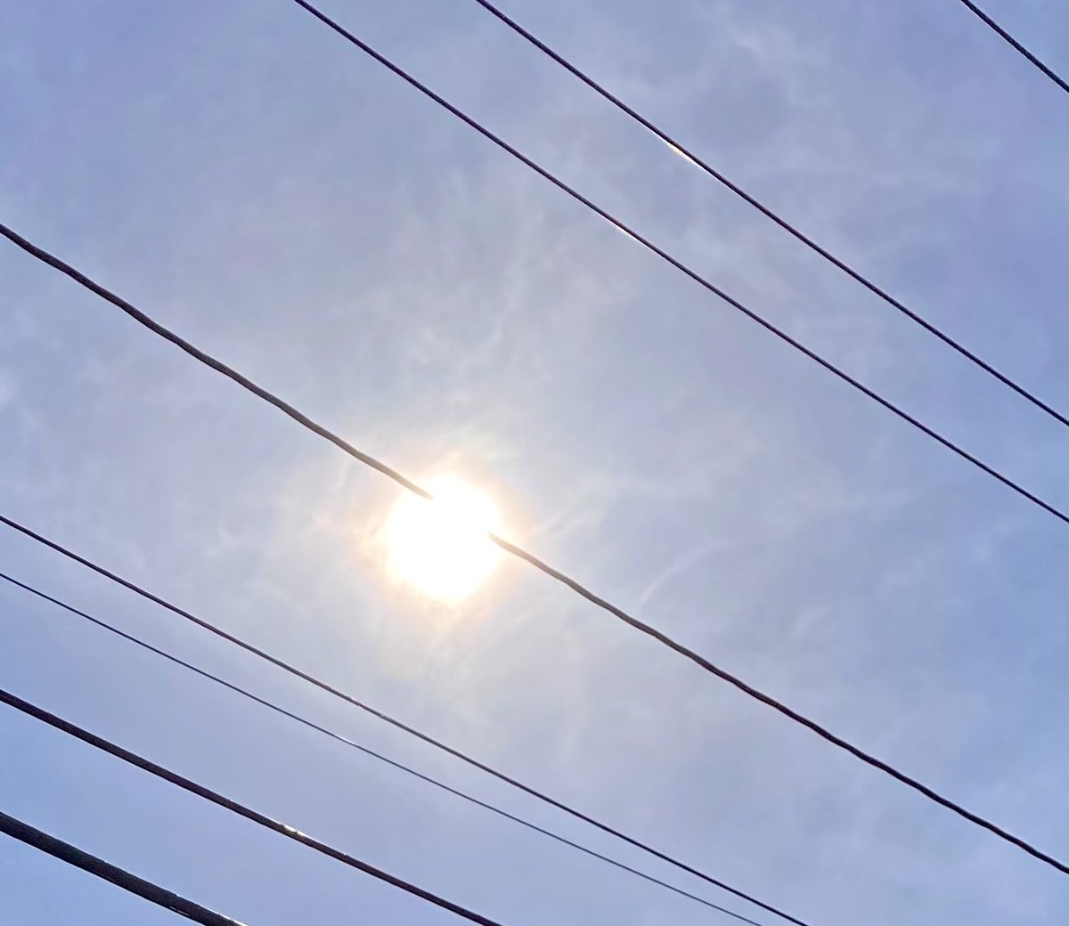 Allone34789's tweet photo. #NaturePhotography
#Naturephotography
#photography #Photography 
#nature #naturelovers
#sky #sunrays #Monday
#telephonewire #outside #seasons 
#February  #naturesbeauty
#winter #sun https://t.co/KGmo96anBh