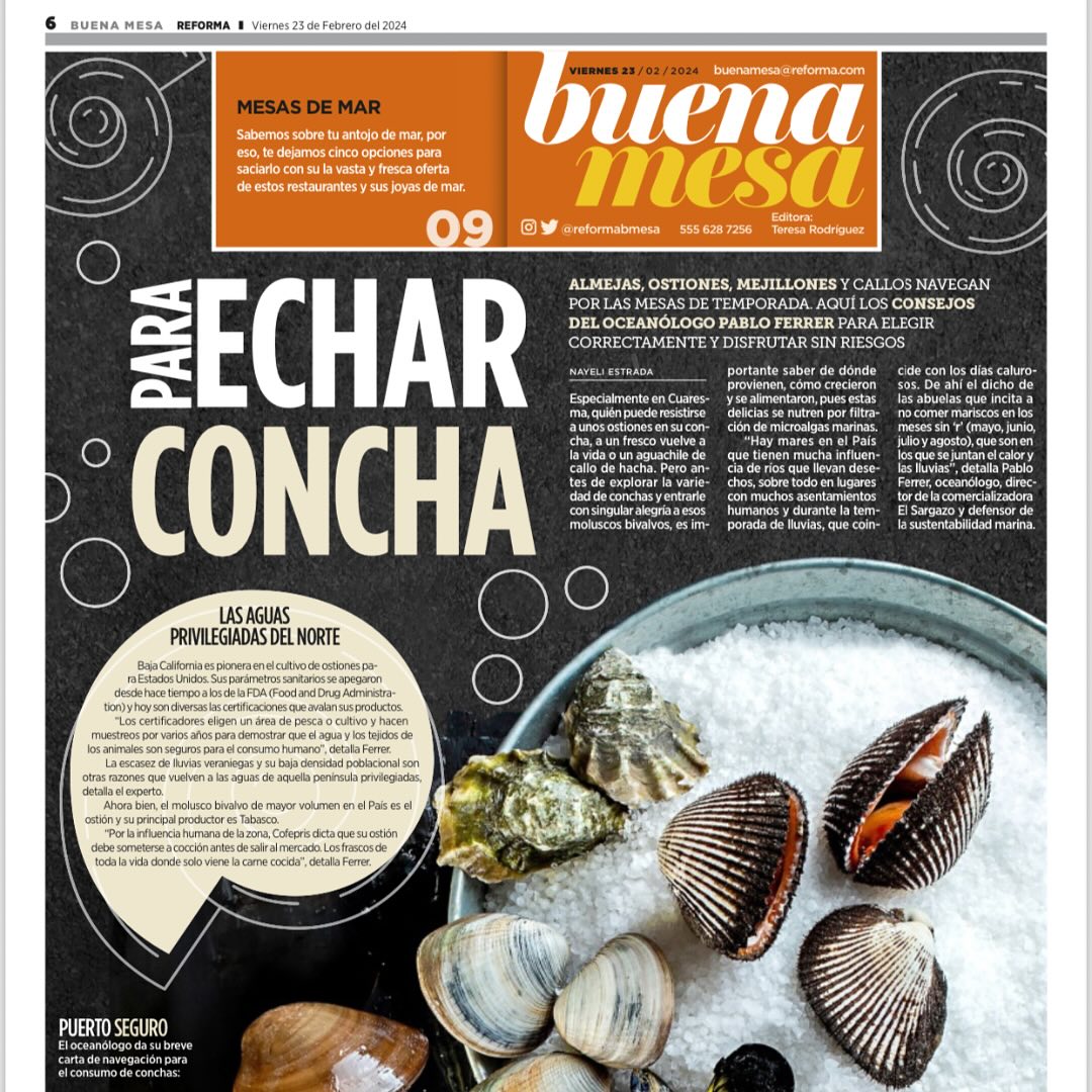 El Sargazo tweet media