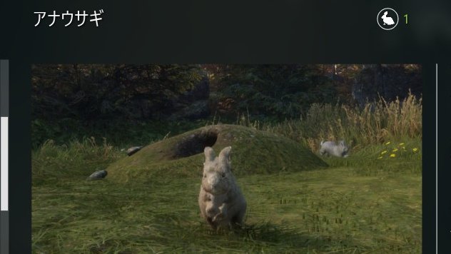chu_chu_jp's tweet photo. #theHunterCalloftheWild 
#ザハンターコールオブザワイルド 
#COTW 
#アナウサギ 
#OryctolagusCuniculus 
#EuropeanRabbit 
ダメだ…😱
アナウサギの巣穴が全く見つからん…🐇
巣穴捜索だけで7時間も費やしてる…🐰
オジロジャックウサギよりもかなりハードすぎるぞコイツ…もぅギブアップしそう…😇 https://t.co/q930fovuri