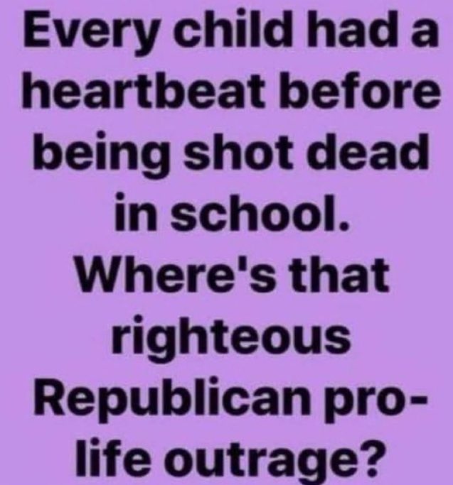 #wtpBLUE #DemVoice1 #ProudBlue #wtpGOTV24 How many more lives do we need to lose in order for Republicans to take this issue seriously, for them to actually protect lives, not just fetuses? With the current stance of the Republican Party, the reality is that nothing will change