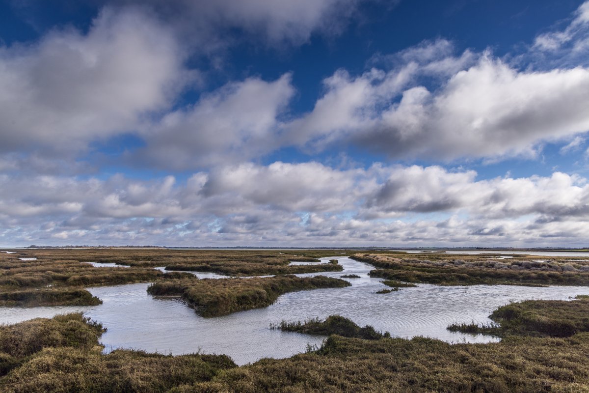 📢 Job opportunity! At the @nationaltrust we look after 780 miles of coastline and we're looking for a Coast and Marine Advisor to help us in the East: bit.ly/CMANationalTru… You'd get to call places like Blakeney Point, Dunwich Heath, Orford Ness & Northey Island your office!