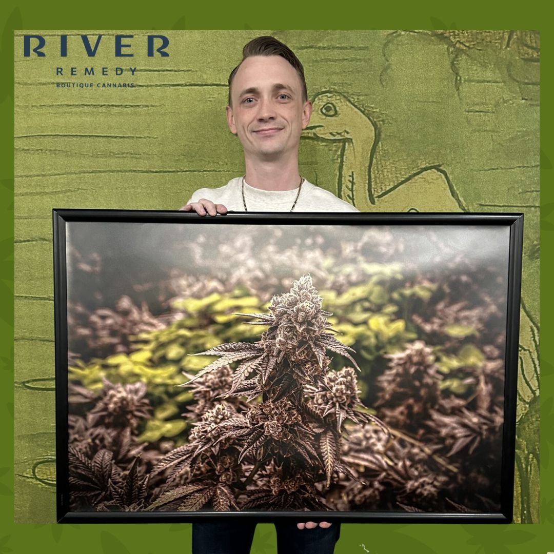 riverremedyms's tweet photo. Our inventory control team boasts many talents. Meet Jeremy Hewitt: not only the mind behind our Inventory Control &amp; Logistics but also a talented photographer. Marvel at his stunning capture of the Grandi Guava! 🤩

#RiverRemedy #EmployeeSpotlight #ByramMS #MMJ https://t.co/szFvWk4Qn9