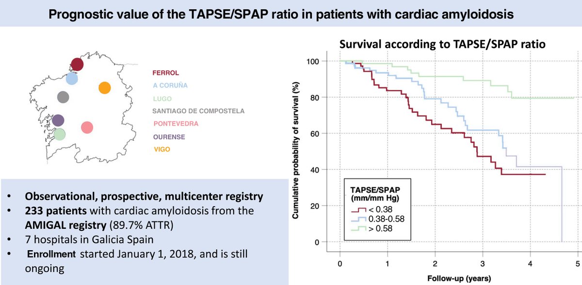 Prognostic value of the tricuspid annular plane systolic excursion/systolic pulmonary artery pressure ratio in cardiac amyloidosis #REC <a href="/GonBarge/">GBarge🍍</a> <a href="/eduardo_barge/">EDUARDO BARGE</a> <a href="/M_Lopez_Perez/">Manuel Lopez Perez</a> <a href="/INESGOMEZ71/">Inés Gómez Otero</a> <a href="/avarelaroman/">alfonsovarela</a> <a href="/javiergseara/">Javier Garcia Seara</a> <a href="/alberto_bouzas/">Alberto Bouzas-Mosquera</a> <a href="/MG_Crespo_Leiro/">Marisa Crespo Leiro</a> revespcardiol.org//en-prognostic…