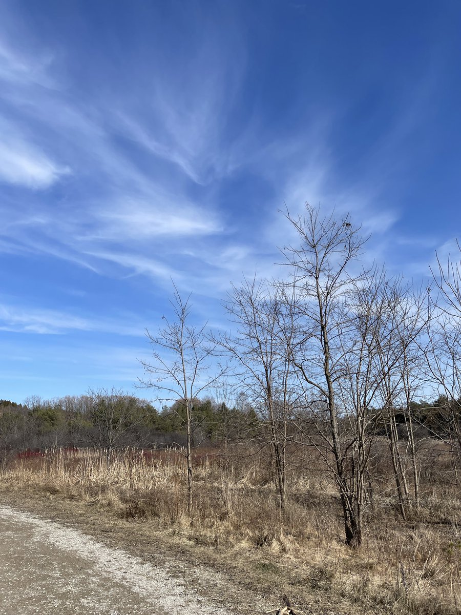 Kate Bueckert tweet media