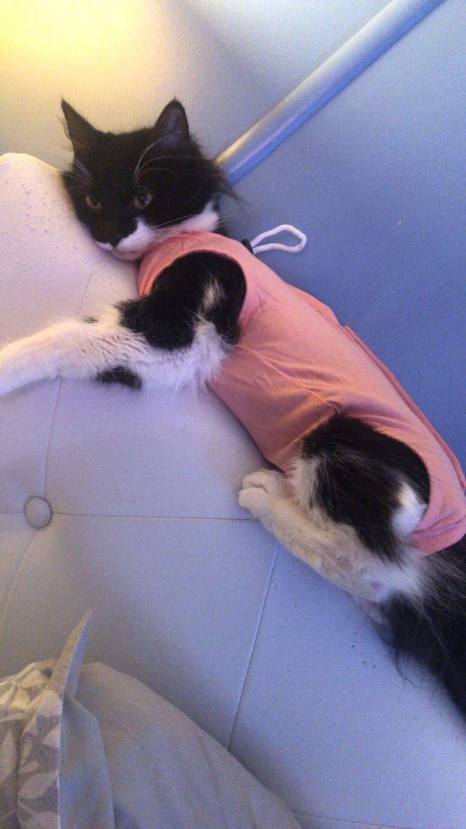 natty nikki ❤️🖤🔴⚫️ tweet media