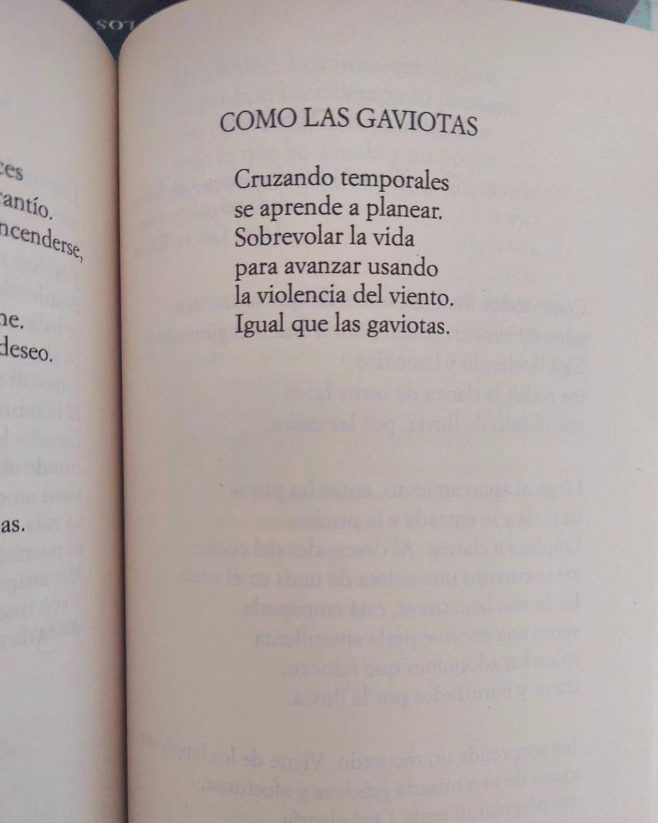 Vicmurillo2's tweet image. COMO LAS GAVIOTAS

Cruzando temporales
se aprende a planear.
Sobrevolar la vida
para avanzar usando
la violencia del viento.
Igual que las gaviotas.

#Margarit