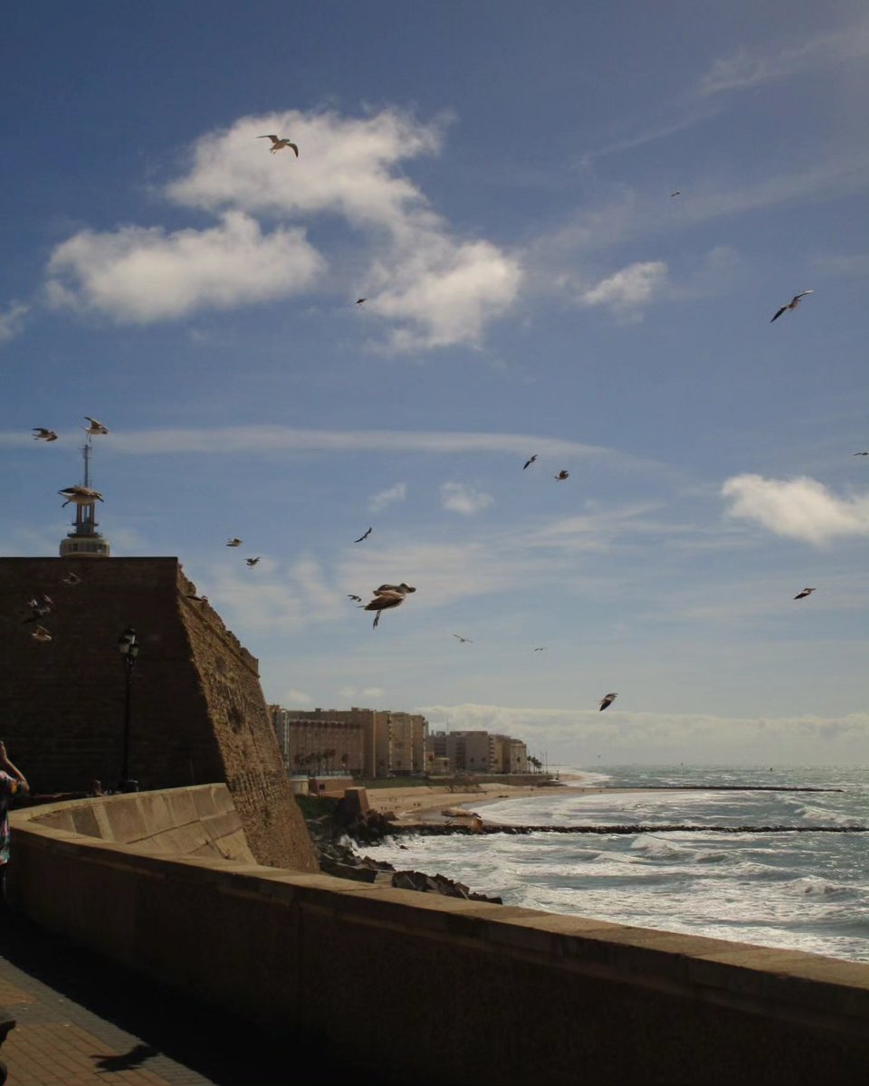 Vicmurillo2's tweet image. COMO LAS GAVIOTAS

Cruzando temporales
se aprende a planear.
Sobrevolar la vida
para avanzar usando
la violencia del viento.
Igual que las gaviotas.

#Margarit