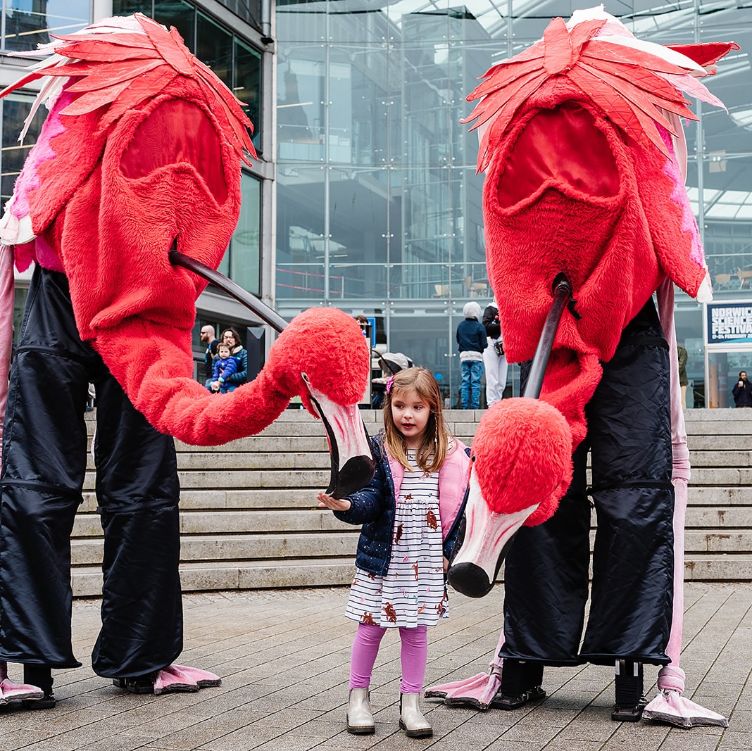 Norwich Science Festival tweet media