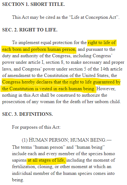 Skip Ashseed tweet media