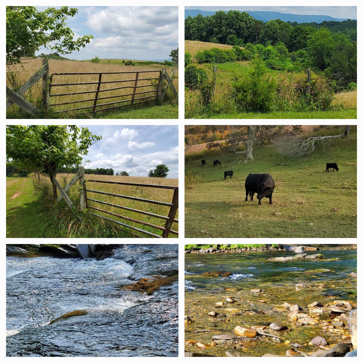 Hey friends...Happy Monday! Just a few pics from NC Mountains. It's good to just stop, soak in the view, enjoy the moment ❤️. #mountains #outdoors #NaturePhotography #nature #GoodAfternoon #Mondayvibes #MentalWellness #Happy #PositiveVibes #Travel #Trending #rivers #animals