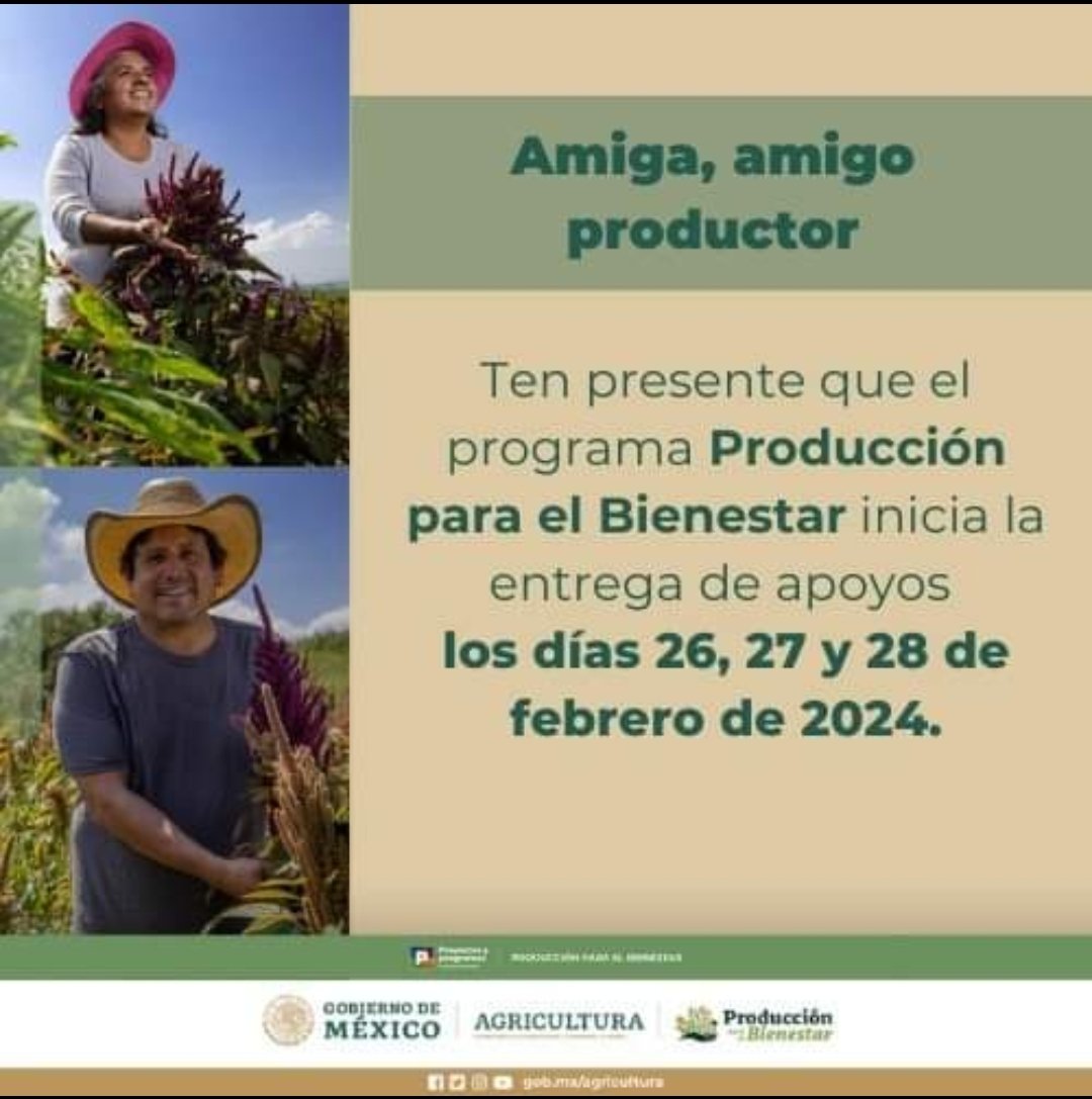 ¡Que no se te pase! 🌽👩‍🌾👨‍🌾

Productor, productora, si eres beneficiario del programa Producción para el Bienestar recuerda que a partir de mañana inicia la dispersión de los apoyos.

➡️Consulta las fechas de cada estado aquí: rebrand.ly/ejmgggq
#ElCampoNoSeDetiene