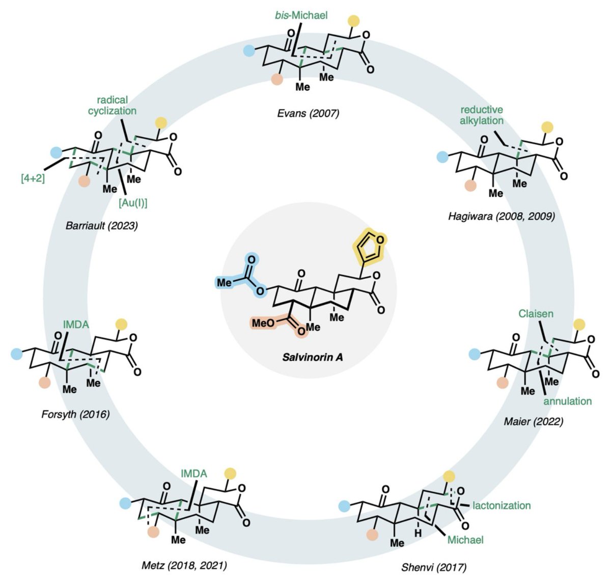 thebarriaultlab's tweet image. Congratulations to @SoufianTibouti on his recent review covering the Syntheses of Salvinorin A and its Analogues published today in @ChemCatChem! Check out the early access version here: …mistry-europe.onlinelibrary.wiley.com/doi/10.1002/cc… @uOttawaScience @uOttawaCHM