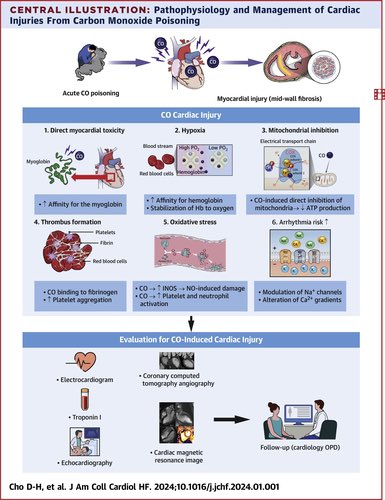 💨 Practical Recommendations for the Evaluation & Management of Cardiac Injury Due to Carbon Monoxide Poisoning @JACCJournals #CardioEd #Cardiology