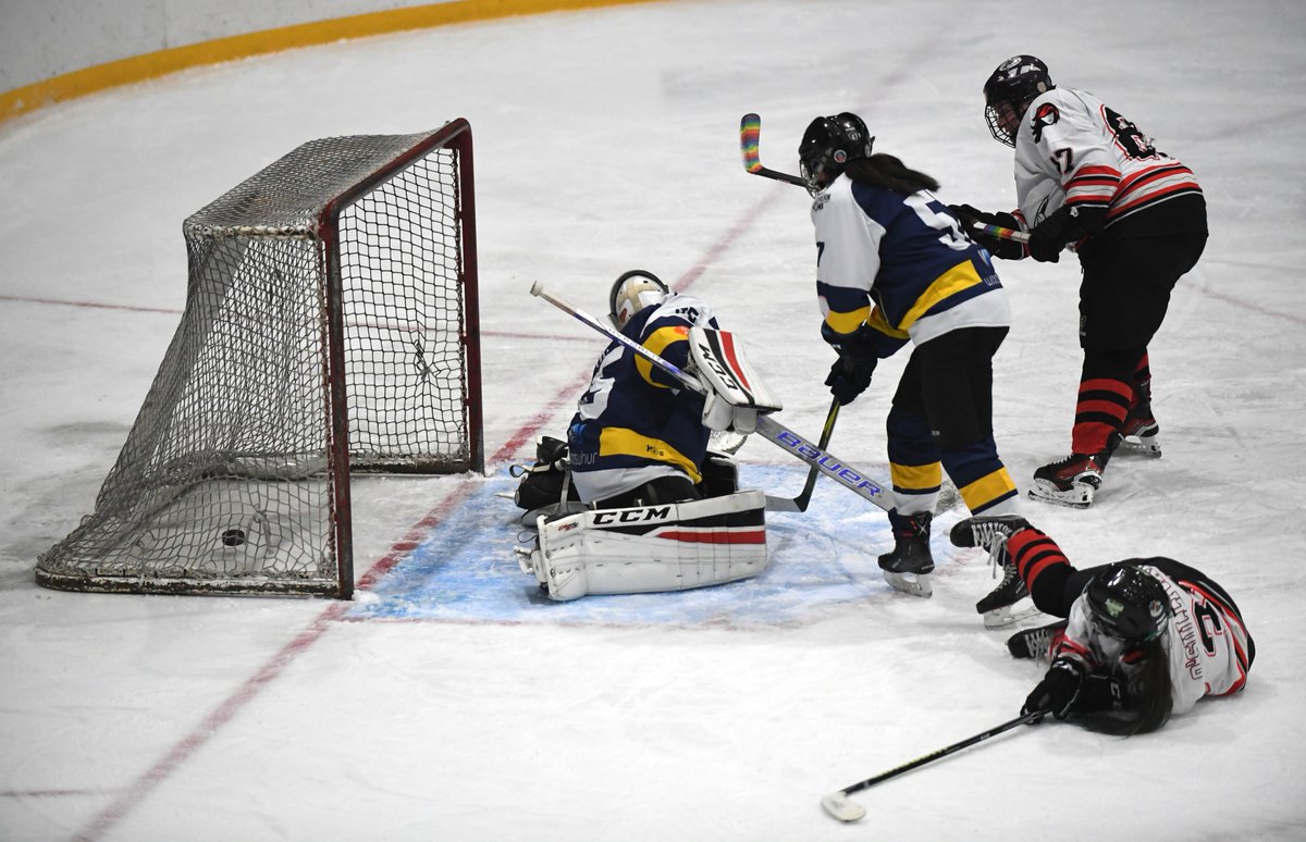 Mr_Mark_Brown's tweet photo. Sunday night at @MurrayfieldIA saw Caledonian @steel_queens defeat Leeds Roses 10-0 in an action packed #WNIHL 2 encounter.  

Good to see @EdCapsPawz offering support from the wooden benches too!

#womensicehockey #icehockey https://t.co/LY13qLySwU