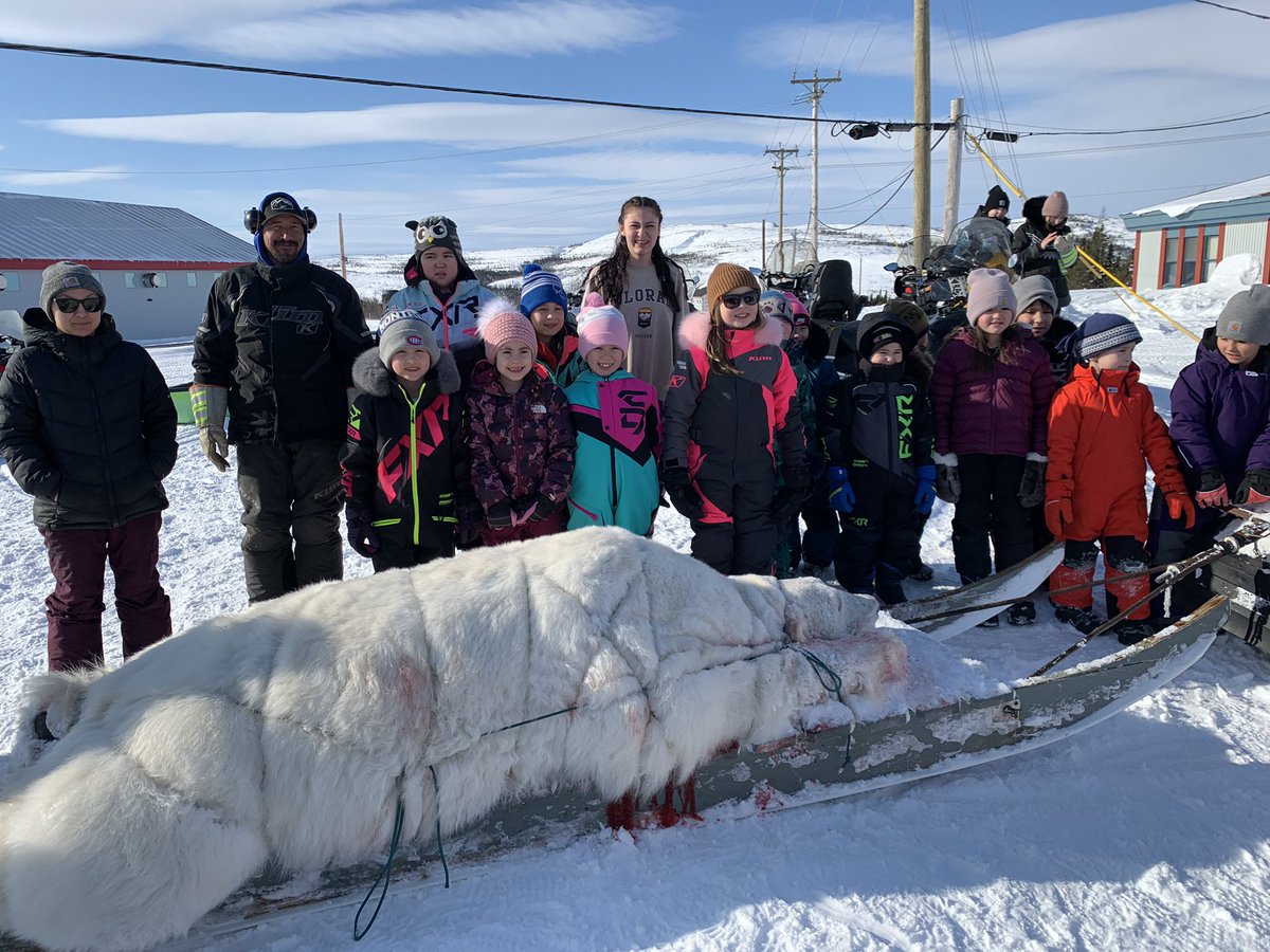 🎉🐾 Today was an exciting morning at our school! Daryl Voisey proudly brought his Polar Bear to share with everyone during recess, and our students were thrilled to see it up close! A huge thank you to Daryl for sharing this special experience with us! 🐾🎉 #Gratitude
