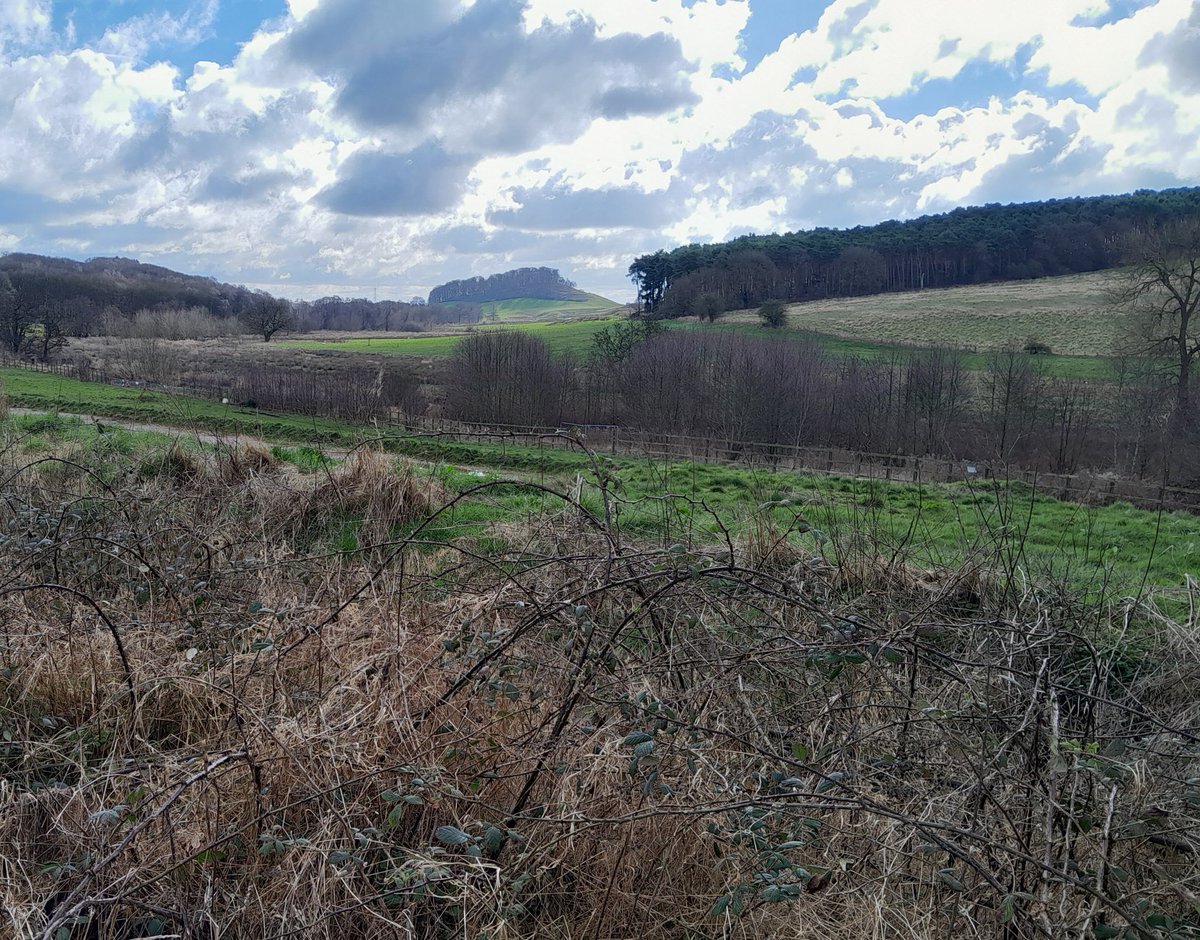 A nice walk out in the woods and open fields in Staffordshire.  Signs of early daffs and what will become fantastic bluebell woods. Fabulous clouds.
