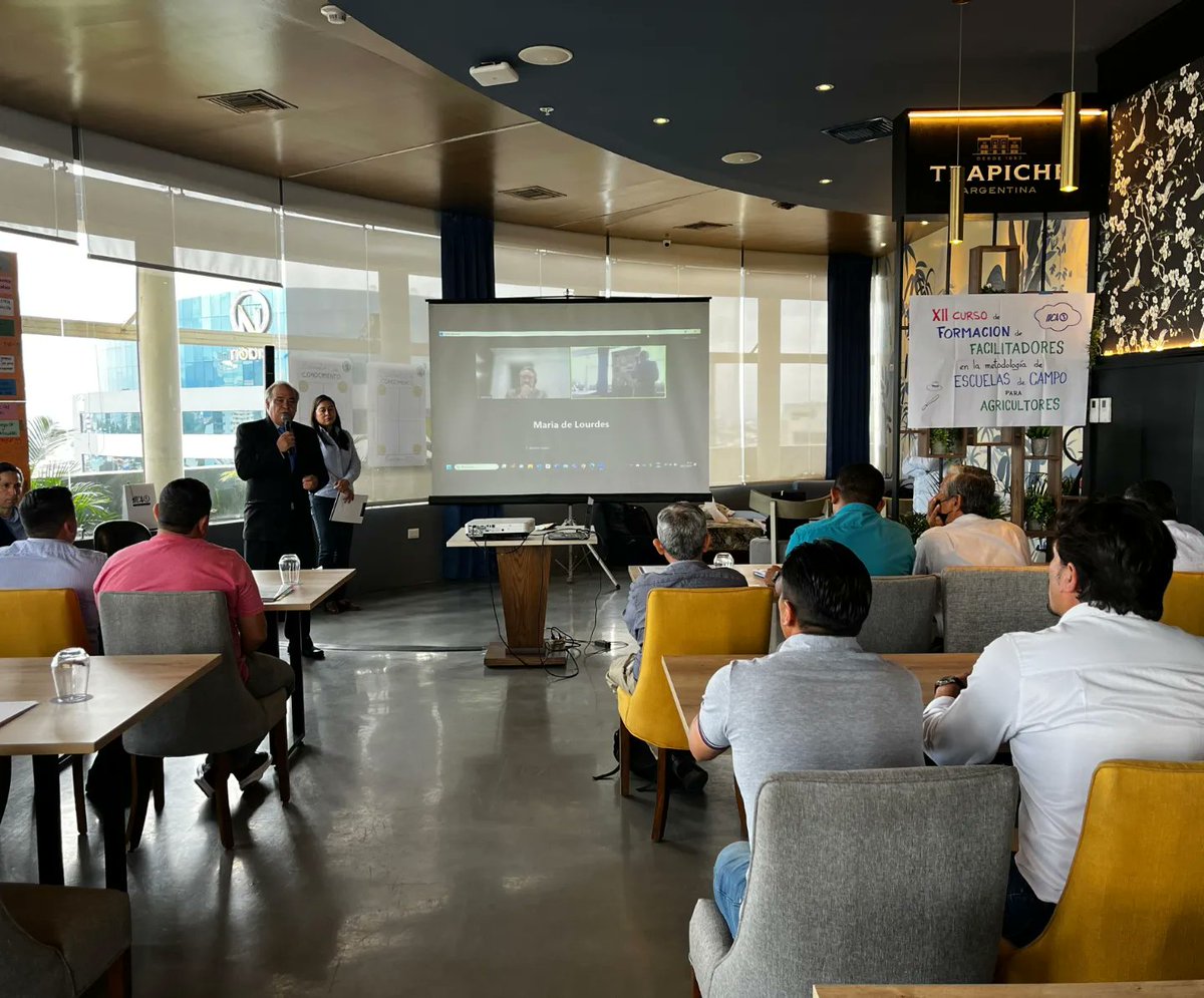 IICAEcuador's tweet photo. En el marco del Proyecto #ALER4TA 🍌 trabajado en forma conjunta entre: @AgriculturaEc, @GIZEcuador e #IICA; 🌱 inició el curso de formación de facilitadores en metodología de escuelas de campo (ECA) para agricultores, enfocada en Bioseguridad y Vigilancia de Foc R4T (Fusarium oxysporum f.sp.) en musáceas 🍌, en la ciudad de Guayaquil con la participación de 30 técnicos de @AgrocalidadEC, Subsecretaría de Musáceas y PIATER. 🌾