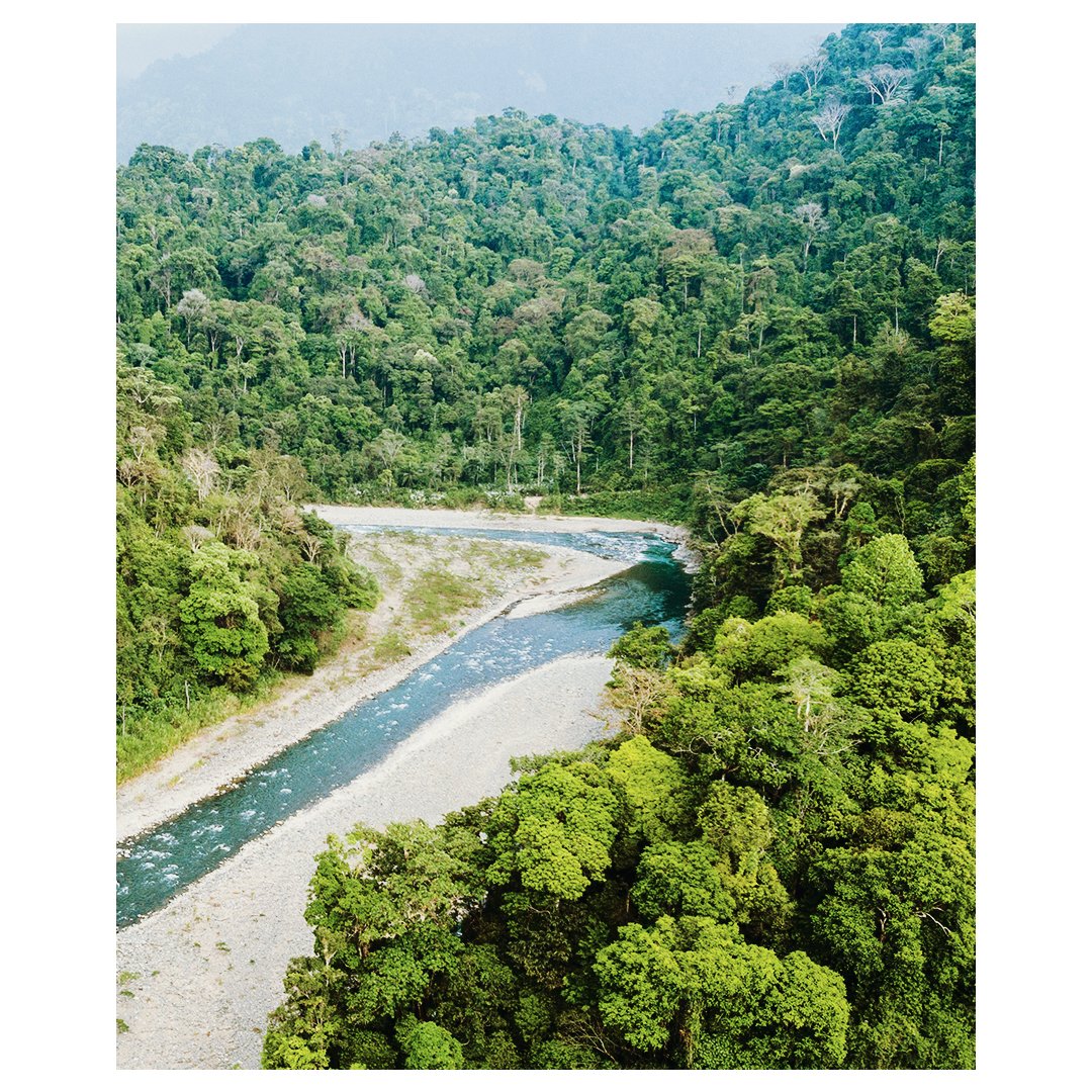 kontikiX's tweet photo. Embark on a thrilling odyssey through the heart of Costa Rica's lush landscapes, as the Savegre River Rafting experience unveils the perfect fusion of adrenaline and natural beauty. #AboveSeaLevel #SmallLuxuryHotels https://t.co/kRLFTPVR7l