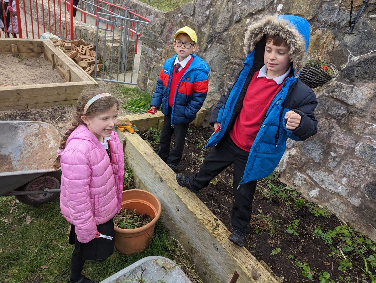 Prynhawn prysur yn garddio A busy afternoon clearing our gardens ready for some Spring planting @GWmag @RHSSchools @BodnantGardenNT @garddioamwy