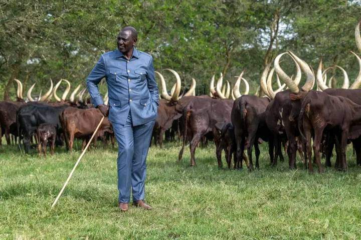 Show Doyen  love by retweeting this picture and following <a href="/kanzprecious1/">Baite Queen</a> <a href="/BrianMPeter/">Lion of the Mountain</a>