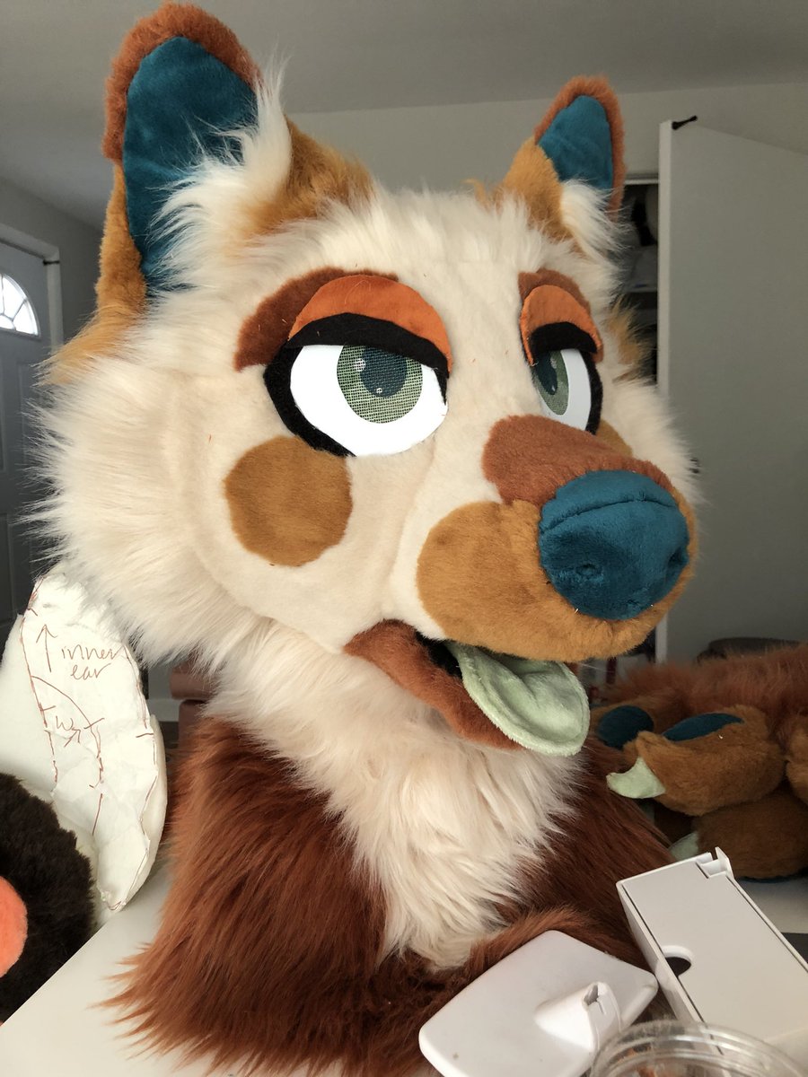 aeluromancy 🌵🍊🐱🔜 anthrocon, MAW tweet media