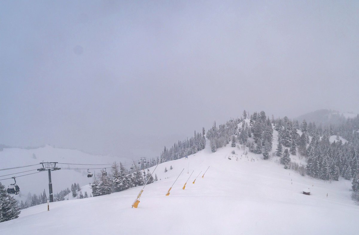 TamarackLodge1's tweet photo. This week, we're reaping the rewards of all those snow dances! ❄️ The mountain awaits. 

#tamaracksunvalley #roamrestrepeat https://t.co/HXz826n2pz