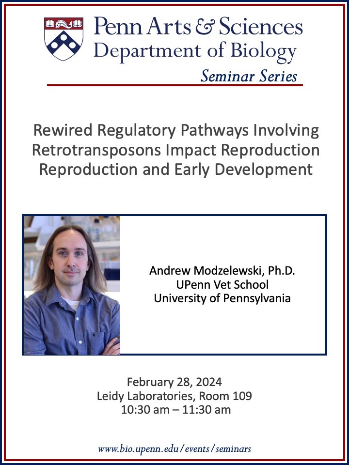. @PennBiology is pleased to have @TheModzLab join us for his talk, 'Rewired regulatory pathways involving retrotransposons impact reproduction and early development.' This Wed, Feb 28, at 10:30am via zoom, meeting link below. bio.upenn.edu/events/2024/02…
