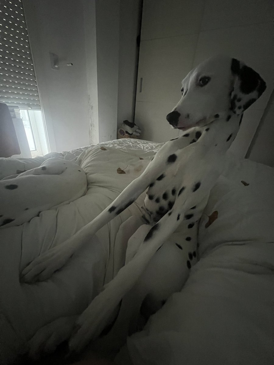 Se sienta como una persona 😂