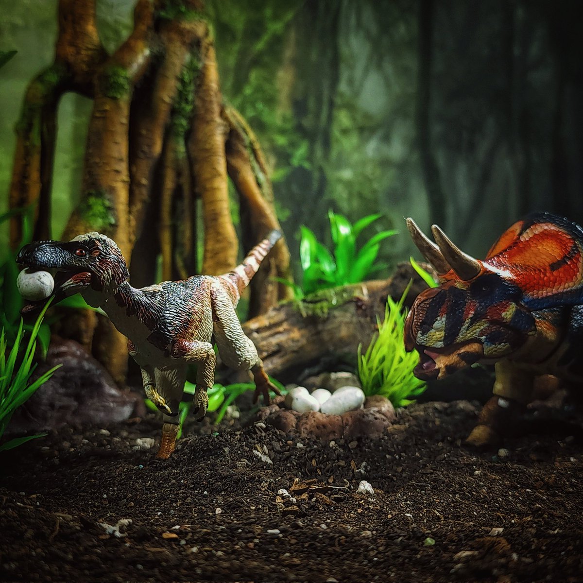 Sneaky Suskityrannus #dinosaurs #beastsofthemesozoic #toyphotography