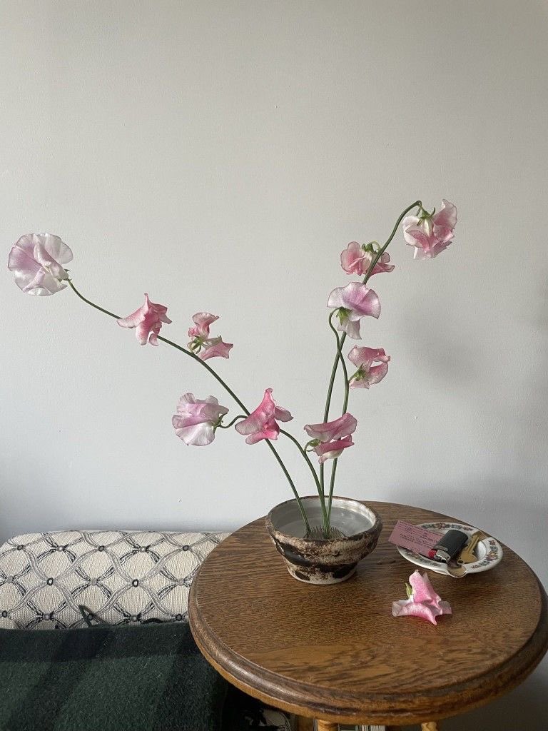 suzuranfairy's tweet photo. opening the window and smelling flowers in the air https://t.co/vFk4ufTrZU