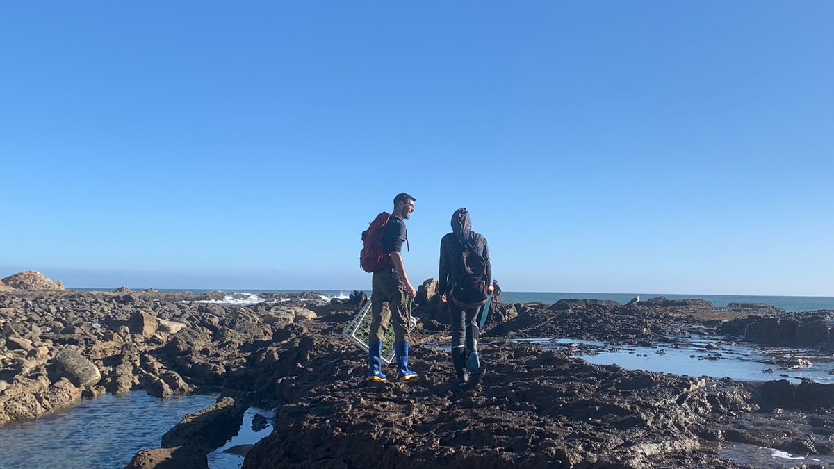 🔬 FINAL DAYS! Are you a Post-baccalaureate interested in Biological Science Research? Don't miss your last chance to apply for #NHMLA’s 2024-2025 #UNLAB program where hosted researchers will engage with Mentors in a year-long program. Apply by Feb. 29: nhm.org/unlab