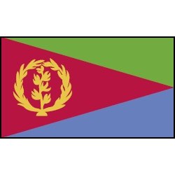 Diana Tesfamaryam (@tesfa80496diana) on Twitter photo 