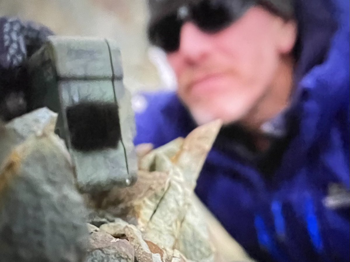 Alex Rogers tweet media