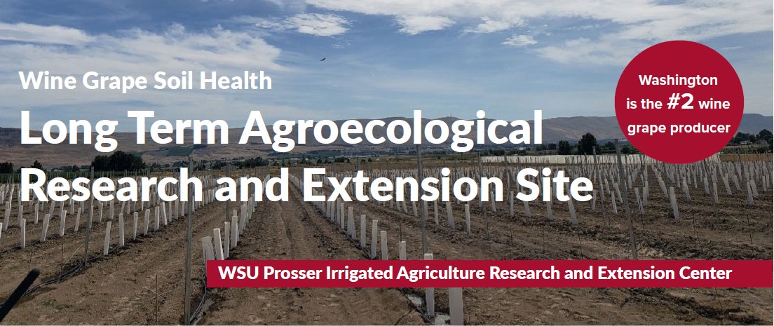We're Hiring! 
The Functional Soil Lab at IAREC is seeking a student intern interested in learning more about soil science and can aid us in processing soil samples from WaSHI’s LTARE soil health vineyard. 
Interested? Check out our website to learn more: iarec.wsu.edu/employee-resou…